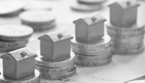 Precision Realty and Management, LLC Collection